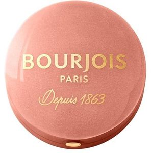 Bourjois Blush Koperbruin Penseel 2,5 g