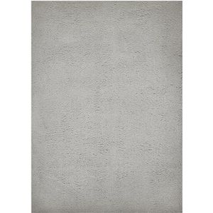 andiamo San Paolo Modern en elegant hoogpolig tapijt voor woonkamer, slaapkamer, 100% polyester, poolhoogte ca. 27 mm, geschikt voor vloerverwarming, 160 x 230 cm, grijs