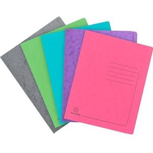 Exacompta - Ref. 399999E - Pak met 10 lamelmappen - van glanzend karton 355g/m² - afmetingen 24 x 32 cm voor documenten in A4-formaat - diverse kleuren
