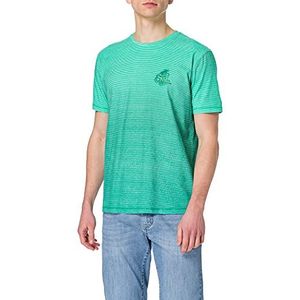 Pioneer Degradé T-shirt voor heren, ronde hals, Jade Cream