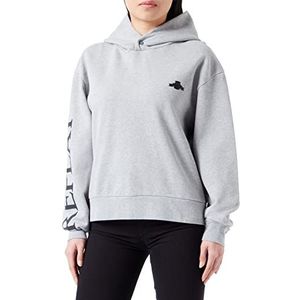 REPLAY Dames Hoodie M08 grijs gemêleerd, S, M08 grijs gemêleerd