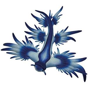 Bullyland 67511 - speelfiguur blauwe oceaan, ca. 6,5 cm, detailgetrouw, PVC-vrij, ideaal als taartfiguur en cadeautje voor kinderen vanaf 3 jaar