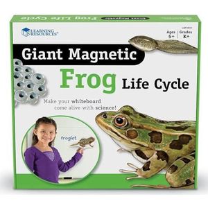 Learning Resources Levenscyclus van een kikker in gigantische magneten