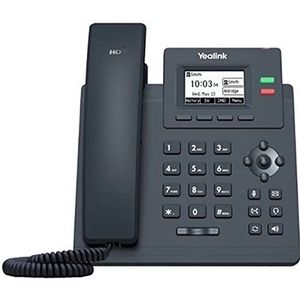 Yealink SIP-T31P IP telefoon Grijs LCD