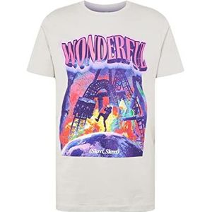 Mister Tee Wonderful T-shirt voor heren, Gemengde kleuren / lichtgrijs