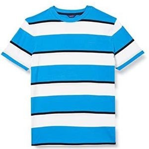 GANT Casual T-shirt voor jongens met strepen, dagblauw, blauw, dagblauw