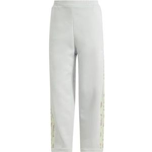 adidas Pantalon pour femme (1/1), Wonder Silver, S