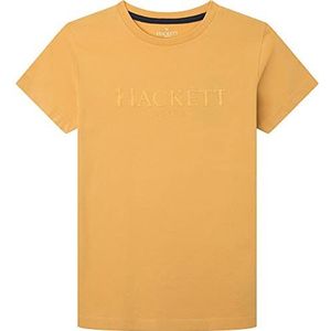 Hackett London Hackett LDN Tee jongens T-shirt, Honey Gold