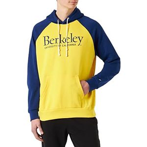 Champion Legacy College Heavy Powerblend Sweatshirt à Capuche Homme, (Jaune Moutarde/Bleu College), M