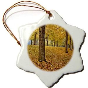 3dRose Oregon Portland Ornament Linde Herfst Ornament Veelkleurig 7,6 cm