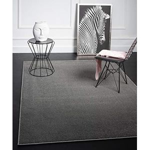 Mia´s Teppiche Emma Laagpolig vloerkleed voor de woonkamer, 17 mm, 120 cm, poolpatroon, polypropyleen, antraciet, 17 cm