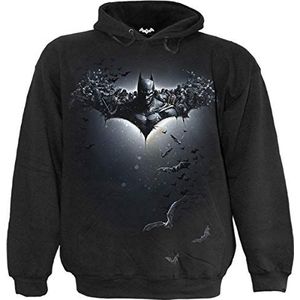 DC Comics - Joker - Arkham Origins - Hoody - Zwart, zwart, S