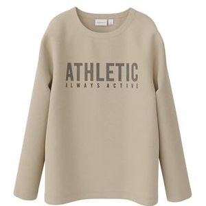 NAME IT Nkmnatrias Ls Heavy Jersey Losse Top Pb T-shirt met lange mouwen Jongen, Ierse crème