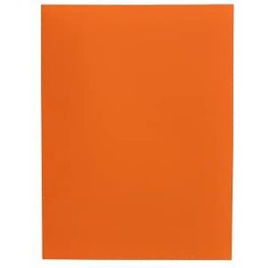 alevar 3351/oranje overhemd Bristol