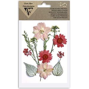 Clairefontaine 195593C – zak met 12 gedroogde bloemen – echte bloemen – doe-het-zelfkunst – scrapbooking, knutselen, creatieve kaartvormgeving, decoratie, hobbys, rood