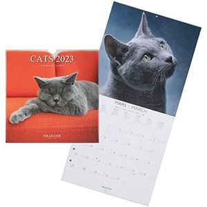 Drager Paris Wandkalender katten 2023, om op te hangen, 29 x 29 cm, 16 maanden sept22-dec 23, 7 talen, kalender voor huis, keuken, maandkantoor, 12 foto's van katten en kittens, FSC®-gecertificeerd