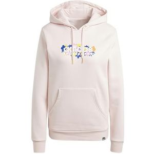 adidas SOFT SIDE 2.0 GRAPHIC HOODIE Grafisch sweatshirt met lange mouwen voor dames (1 stuk)