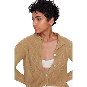 Trendyol Trendyol Dames gebreid vest met reverskraag standaard sweater dames (1 stuk), Kameel.