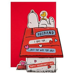 Hallmark Valentijnsdagkaart voor echtgenoot, Snoopy en Woodstock 3D, rood/wit