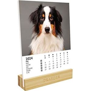 DRAEGER PARIS | Kalender op sokkel voor honden 2024 | 12 x 16,5 cm | jaar 2024 | 7 talen | maandkalender | bamboe sokkel | FSC®-gecertificeerd papier | plantaardige inkt