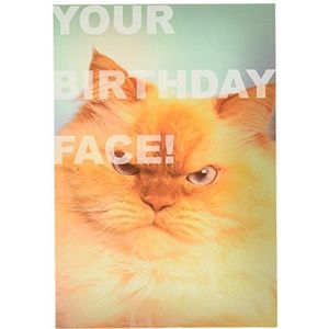 Hallmark Grappige verjaardagskaart met kattenmotief