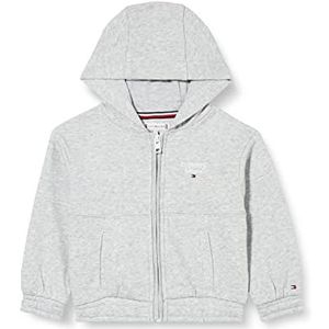 Tommy Hilfiger tommy graphic zip through rits robuust meisje, Licht Grijs Heather