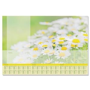 SIGEL Ho307 Bureauonderlegger van papier, kalender voor 3 jaar en weekplanner, design Lovely Daisies, A2 (59,5 x 41 cm), geel/wit/groen, 30 vellen