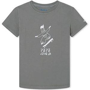 Pepe Jeans Boomer T-shirt voor jongens, groen (casting)