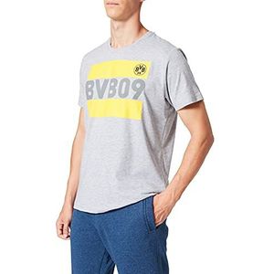 Borussia Dortmund T-shirt, grijs.