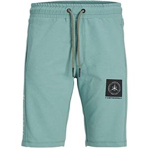 JACK & JONES PLUS Jpstfilo FB Pls Sportshorts voor heren, trellis, 48, Trellis