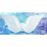 Widmann 8670A - engelenvleugels met veren 86 x 31 cm accessoires engel Kerstmis themafeest