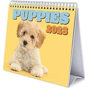 Grupo Erik - Bureaukalender 2023 honden, 12 maanden, 20 x 18 cm, maandkalender in het Frans, januari 2023 tot december 2023, FSC-gecertificeerd, met vaste houder CS23036