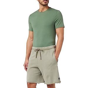 Replay Casual shorts voor dames, 104 mud
