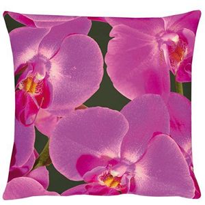 Apelt 4038 kussenhoes orchidee modern elegant katoen 49 x 49 cm, kleur 30 roze
