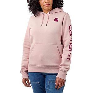 Carhartt Clarksburg Graphic Trui voor dames met lange mouwen