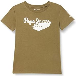 Pepe Jeans Celio T-shirt voor jongens, 684Vineyard Groen
