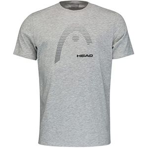 HEAD Club Carl T-shirt Jr T-shirt voor kinderen, uniseks, 1 stuk, grijs.