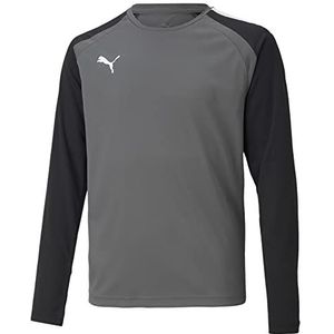 PUMA Teampacer Gk Ls Jers T-shirt met lange mouwen voor heren, parelmoer, smok