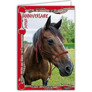 Afie 67-1224 wenskaart voor verjaardag, paard, dieren, paardrijden, servies, rood, zegel, met witte envelop, formaat 12 x 17,5 cm