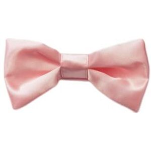 MICHI PAPILLON RASO Rose Satin Nœud papillon Rose XXXL Papillon per cane