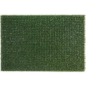 ID Mat Astroclassic tapijt, 100% polyethyleen, groen, 40 x 60 cm