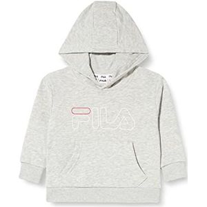 Fila Sassnitz Sweatshirt met capuchon, uniseks, kinderen, Licht Grijs Melange