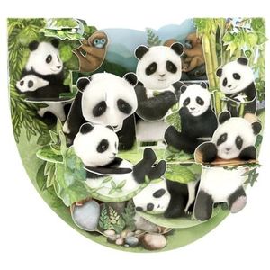 SANTORO PopnRock 3D pop-up wenskaart - panda's - voor haar, kinderen, meisjes | panda verjaardagskaart | handgemaakt