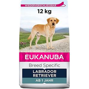 Eukanuba Premium droogvoer voor honden, Labrador, Curly Coated Retriever, chesapeake-bessen, 100% compleet en uitgebalanceerd – met kip – 12 kg (verpakking kan variëren)