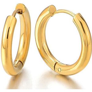 2 kleuren gouden plaine cirkel oorbellen scharnier – creolen Huggie – heren dames – roestvrij staal, roestvrij staal, Opmerking: