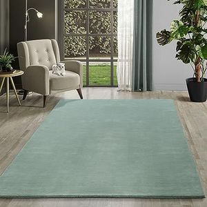 Mia´s Teppiche Magnifico Tapis de salon en fourrure synthétique à poils longs et douillets