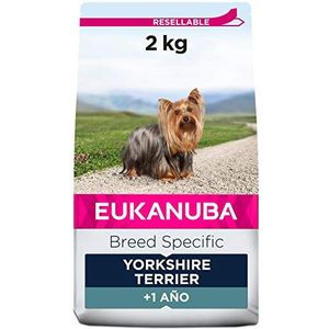 Eukanuba Premium droogvoer voor honden, Yorkshire, Cavalier-kingcharles, Dwergpoedel, Shih Tzu - aanbevolen door dierenartsen - 100% compleet en evenwichtig - L-carnitine - met kip, 2 kg