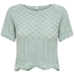 ONLY Onlnola Life S/S Knt Nca Onlnola Life S/S Pullover Knt Nca Dames (1 stuk), Jade kant, M