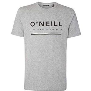 O'NEILL LM Arrowhead T-shirt voor heren, korte mouw, zilvergrijs (zilvermele)