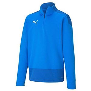 Puma Teamgoal 23 Training 1/4 Zip Top Jr Pullover Jongen, Electric Blue Lemonade-Team Power Blue, 116